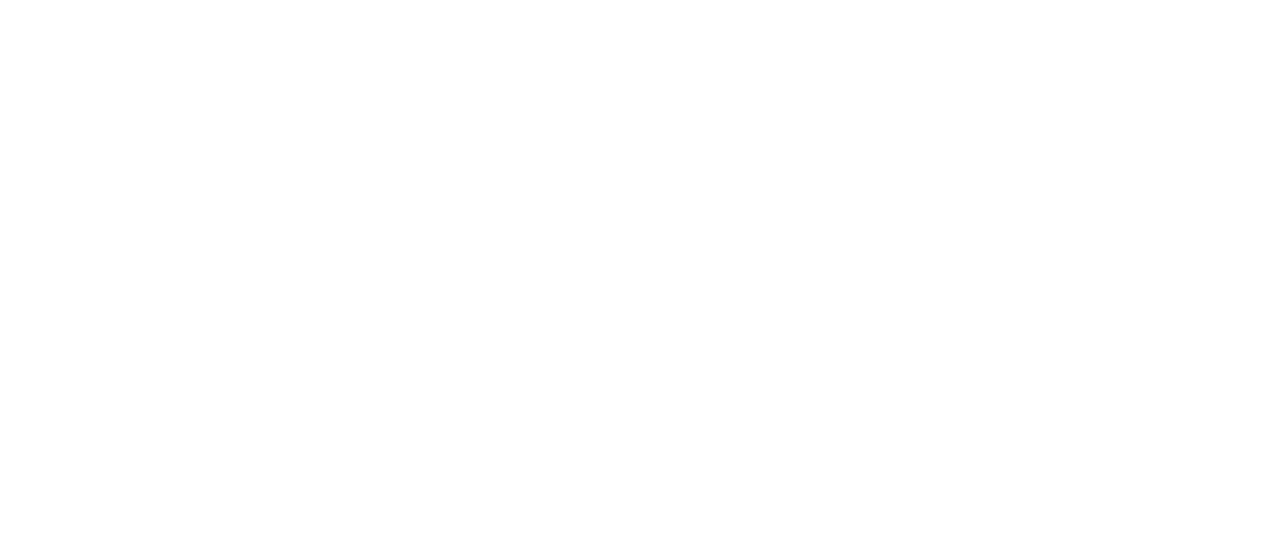 salwan auto logo transparent 1